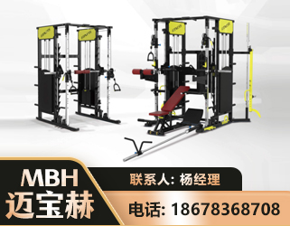 昭通多功能综合训练器