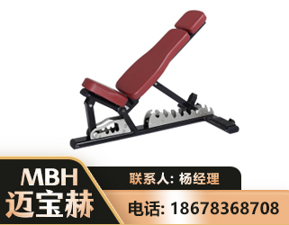 昭通可调哑铃椅